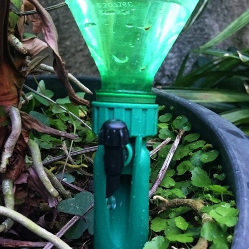 Gotejador Vasart Petgotta Verde Aplicando