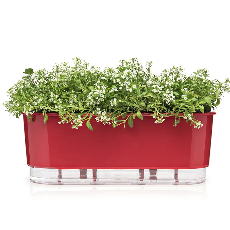 Completa Jardineira Autoirrigável Raiz Vasos Floreira Autoirrigável 14x40x15,5 - Vermelho