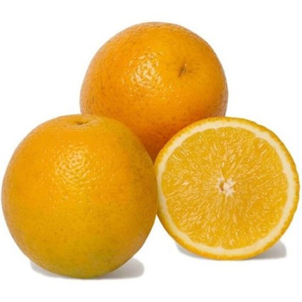 Muda Laranja Champanhe 90cm