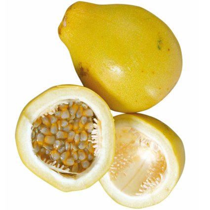 Muda Maracujá Doce 90cm