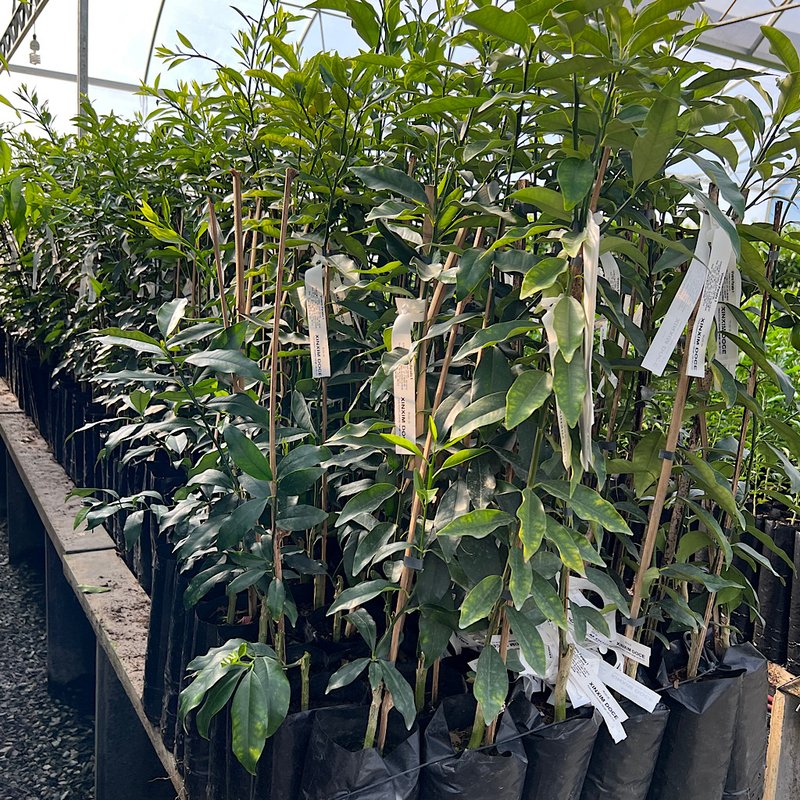 img 2023 5 13 215450