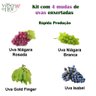 kits uvas 1