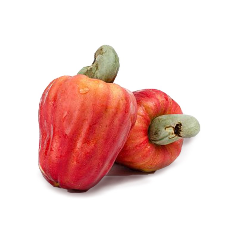 caju fruta fundo branco