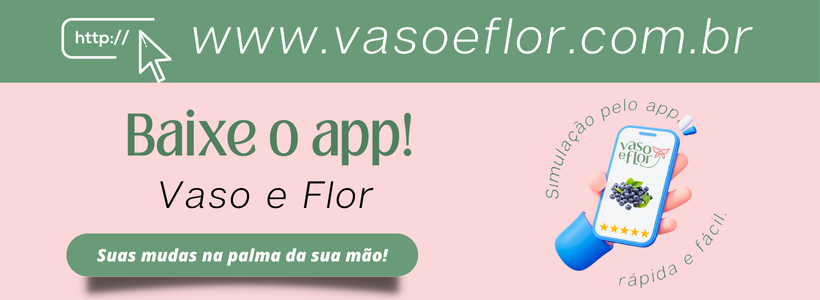app pc