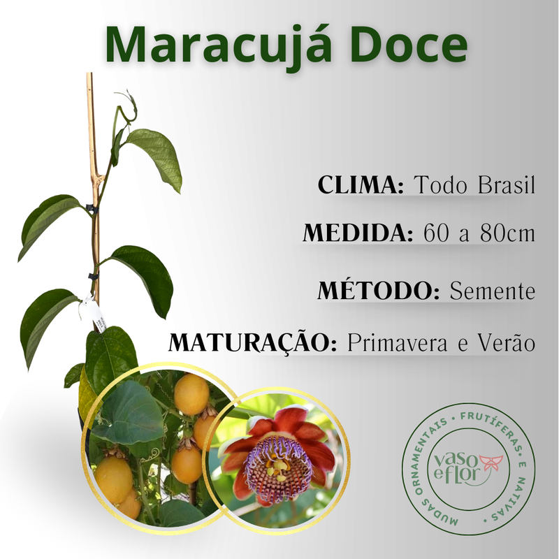 inf maracuja doce