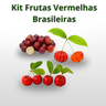 imagem kit frutas vermelhas brasileiras 2