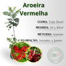 inf aroeira vermelha