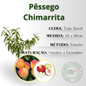 inf pessego chimarrita