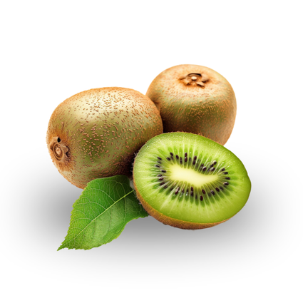 その他 kiwi Kiwi Monty Enxertado Verde